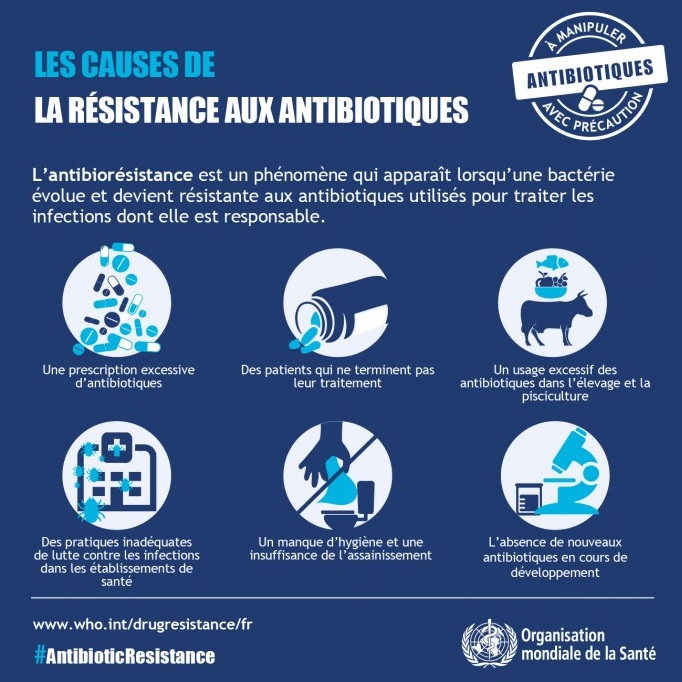 OMS semaine mondiale antibiotiques