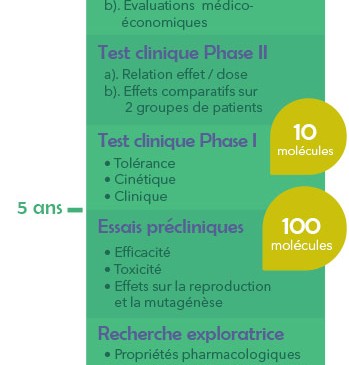 Infographie : chronologie d'un essai clinique