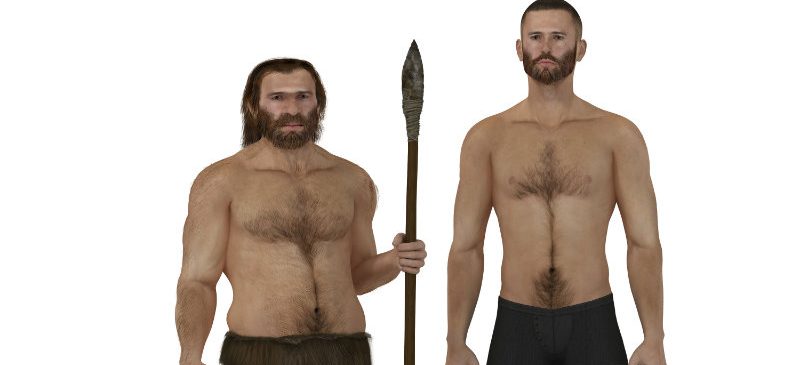 Homme neandertal et Homme moderne