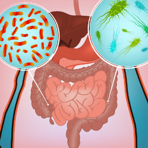 prebiotiques contre eczemas allergies infographie