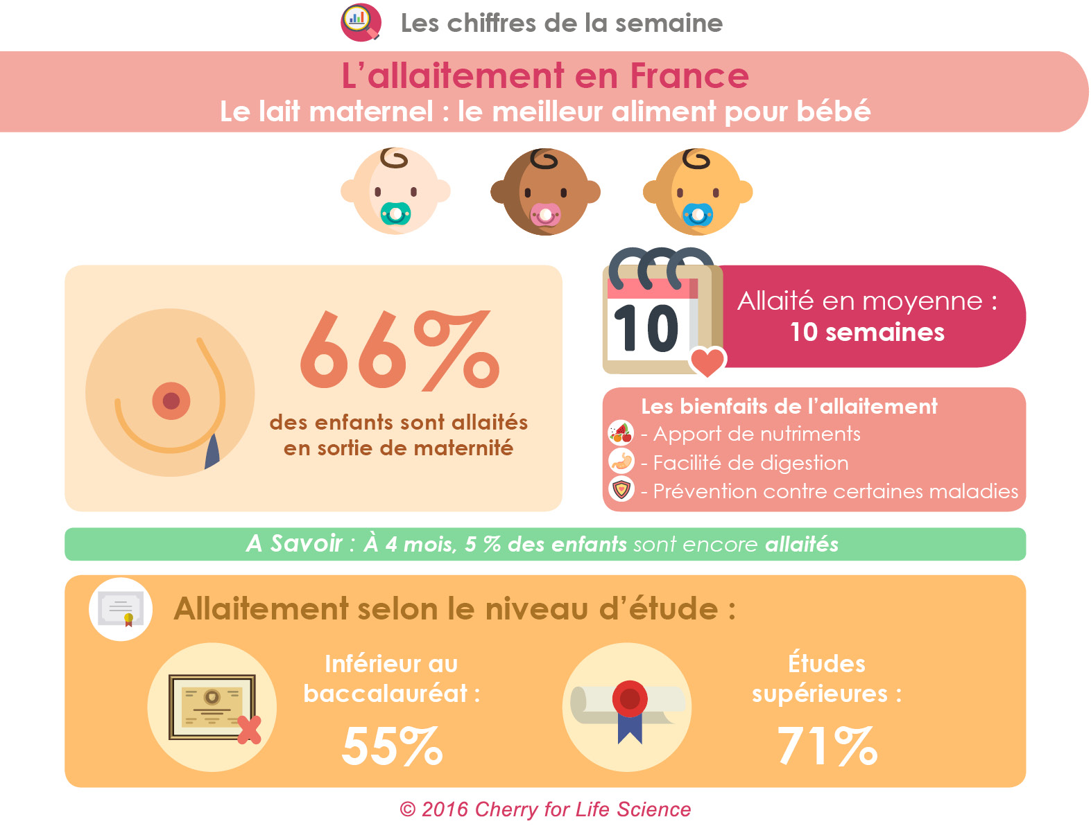 allaitement infographie 