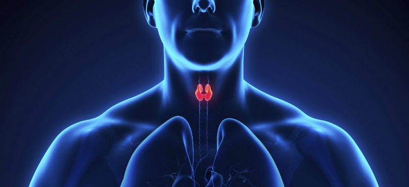 cancer thyroide iode radioactif