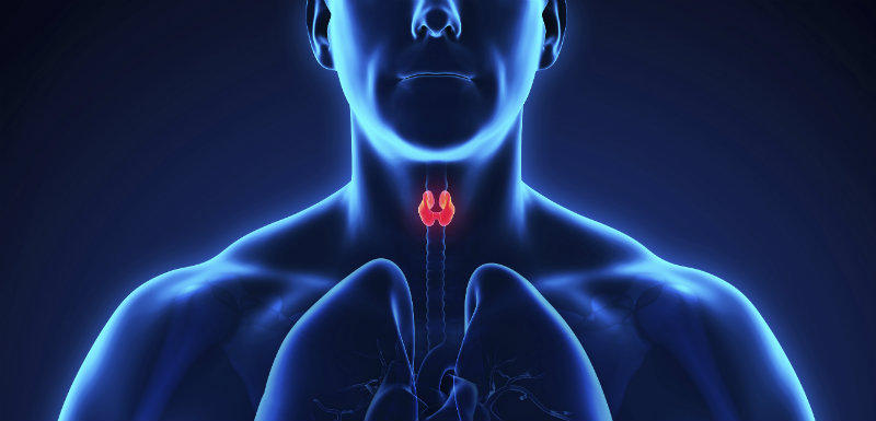 cancer thyroide iode radioactif