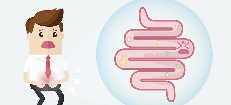 maladie crohn flore intestinale