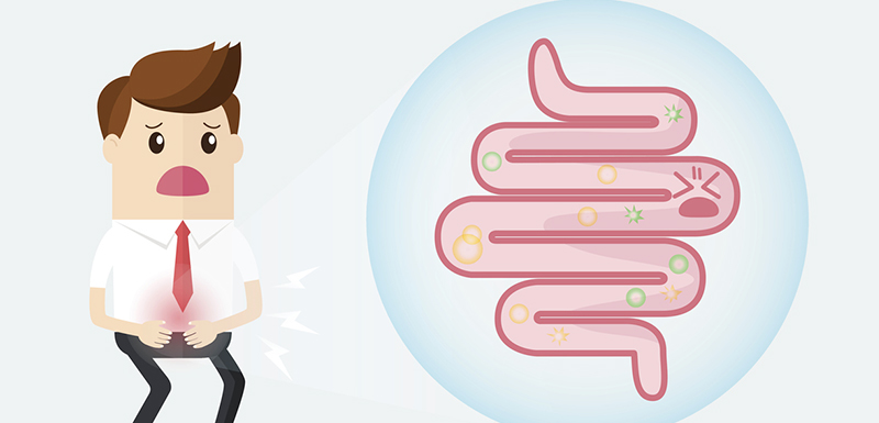 maladie crohn flore intestinale