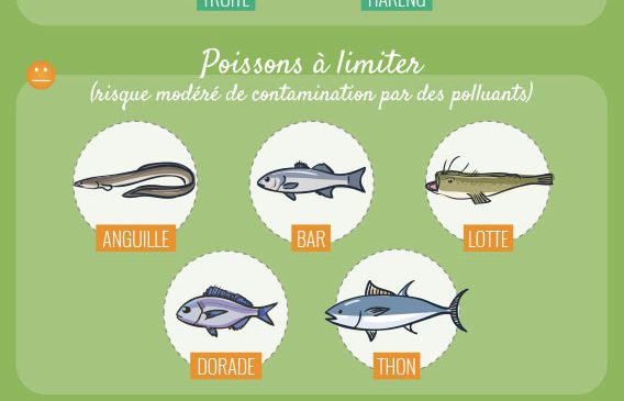 infographie : poisson pendant la grossesse