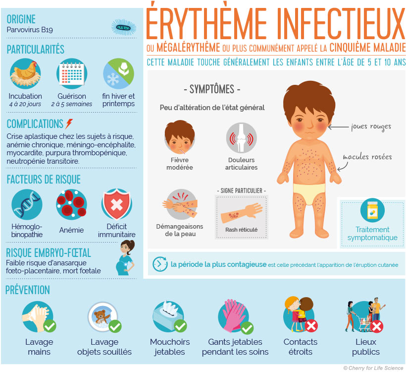 Infographie sur l'érythème infectieux