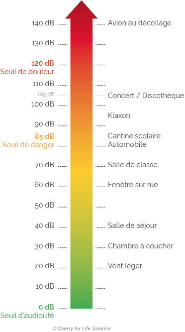 Echelle bruit décibels