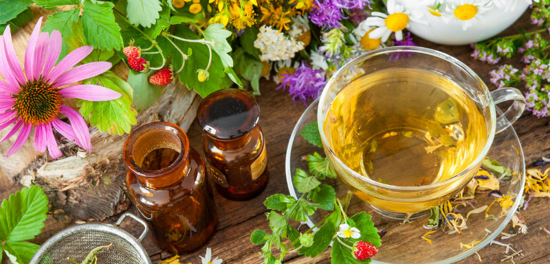 Plantes médicinales allergie