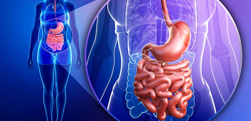 flore intestinale rectocolite hemorragique