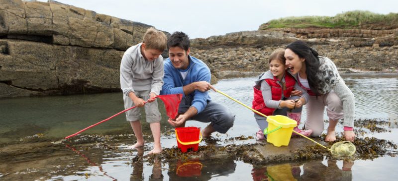 Famille qui ramassent des coquillages