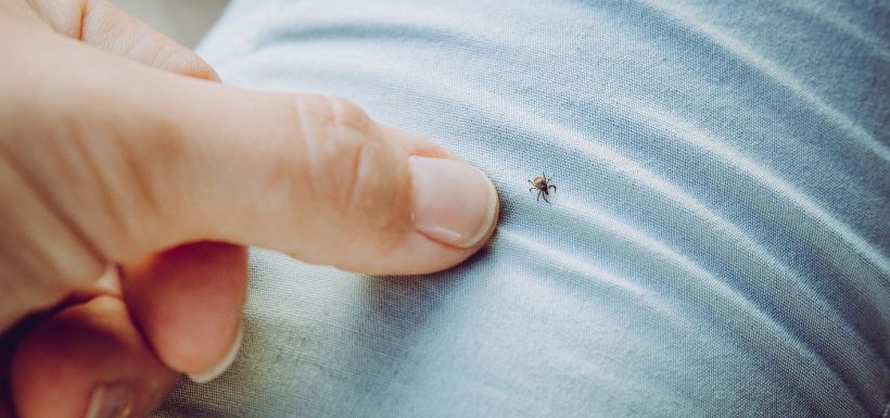 Une personne se protège d'une piqûre de tique grâce à ses vêtements.