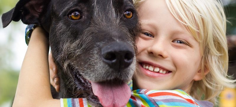 stress-enfant-chien