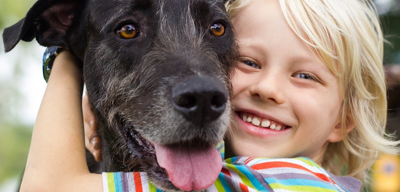 stress chez l'enfant chien