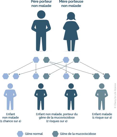 transmissions mucoviscidose
