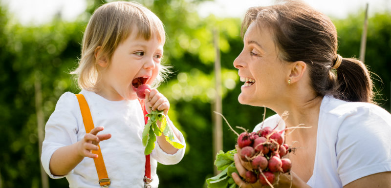 enfants-alimentation-pesticides