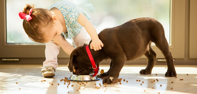 enfants et animal de compagnie