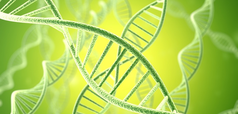 Maladies inflammatoires liées aux modifications du génome