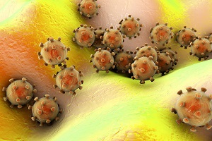 Papillomavirus