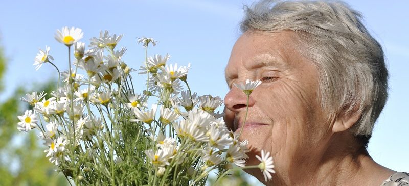 Perte de l'odorat et maladie d'Alzheimer