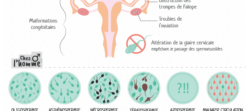 infographie infertilité