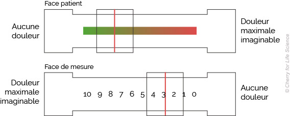 Échelle visuelle analogique de la douleur