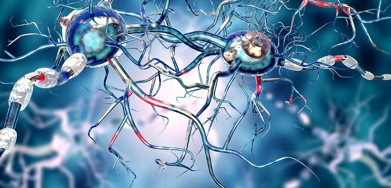 maladie de parkinson et calcium