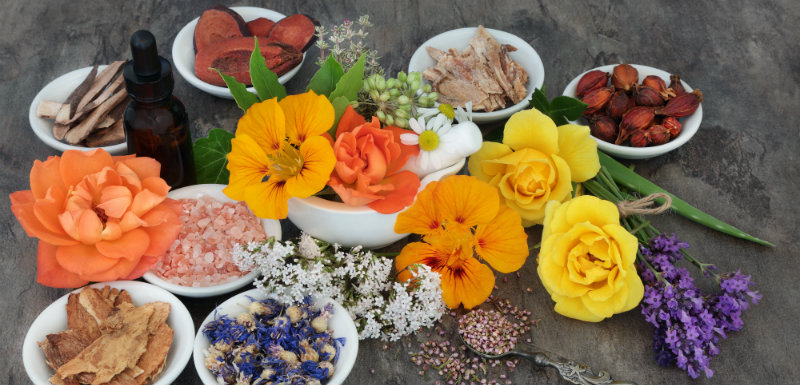 plantes et médicaments