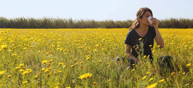 Vaccin - allergie au pollen - rhume des foins