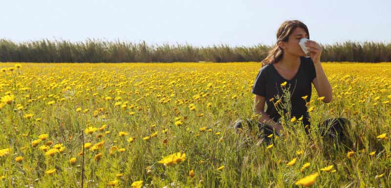 Vaccin - allergie au pollen - rhume des foins