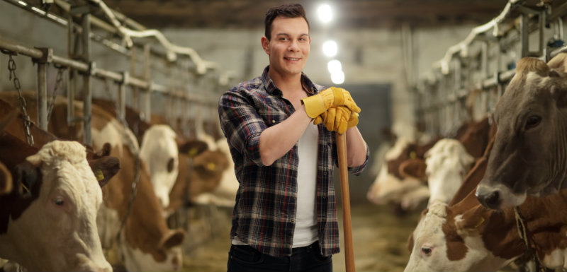 un agriculteur dans une grange avec des vaches. Agriculteurs