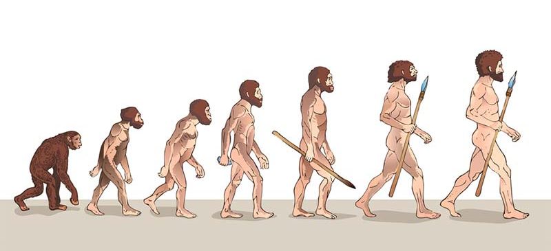 évolution de l'Homme