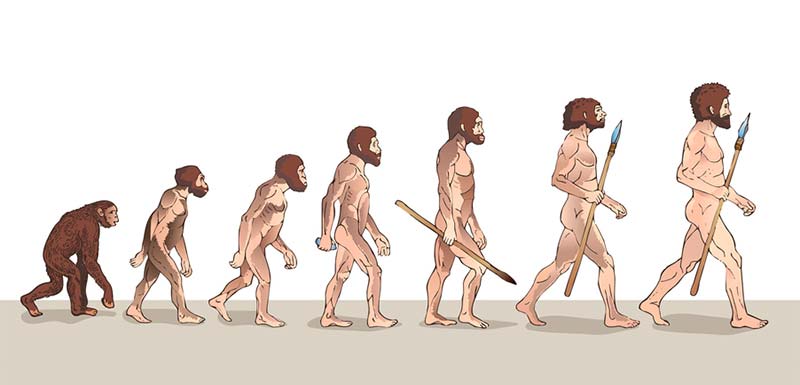 évolution de l'Homme