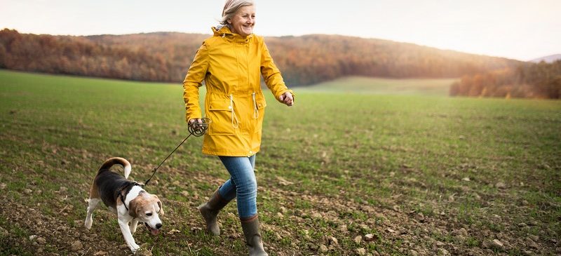 Prévenir la maladie d'Alzheimer en soignant d'abord de son coeur