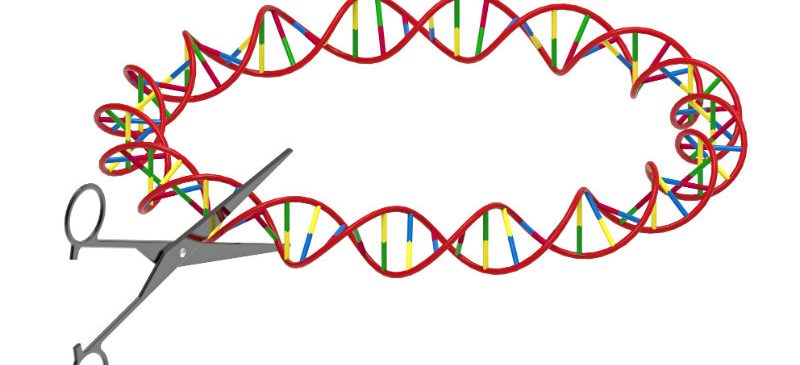 des ciseaux génétiques de la thérapie génique