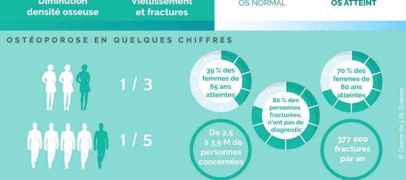 osteoporose_infographie