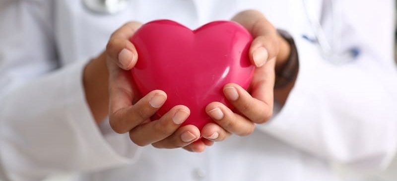 Un médecin tient un coeur dans les mains