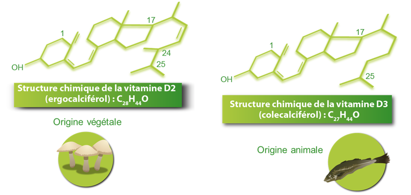 structure_chimique