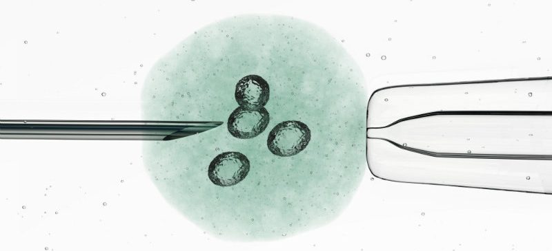 therapie-maturation-ovocyteprécoce, une nouvelle perspective pour devenir mère