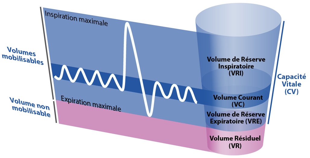 Schéma d'une spirométrie