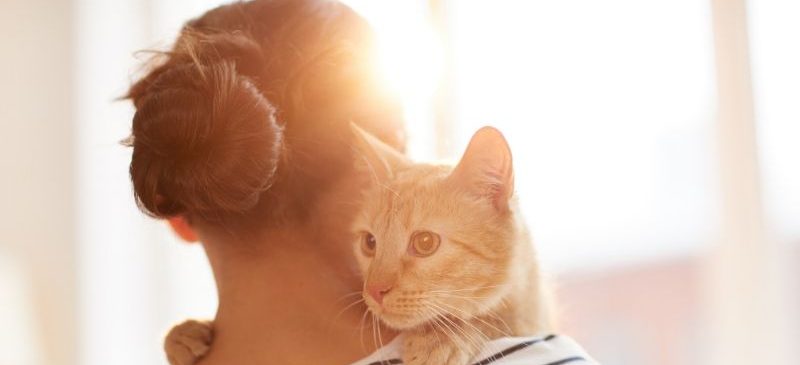 Femme qui tient son chat dans ses bras