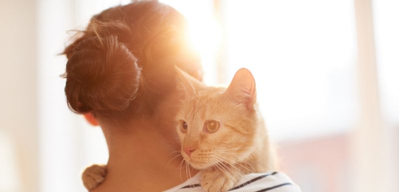 Femme qui tient son chat dans ses bras