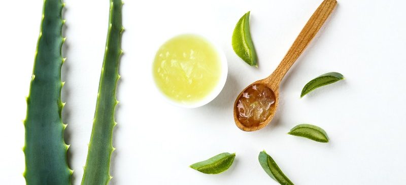 Feuilles d'aloe Vera posées sur une table pour réaliser une préparation de cosmétique