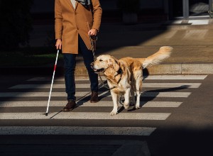 Une personne malvoyante avec son chien 