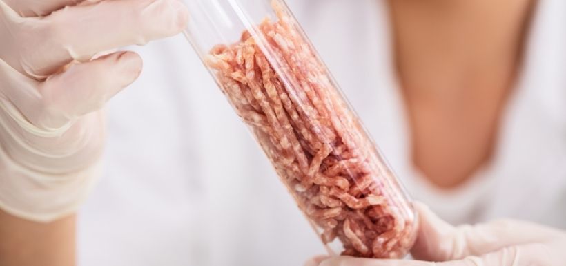 Viande artificielle étudiée en laboratoire