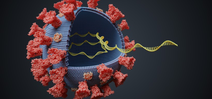 Virus mutants du SARS-CoV-2 