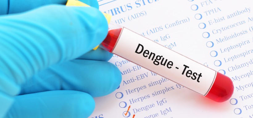 traitement contre la dengue