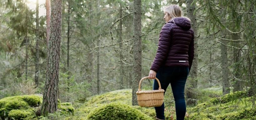 ail des ours, une femme en cherche