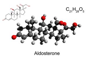 formule chimique de l'aldostérone 