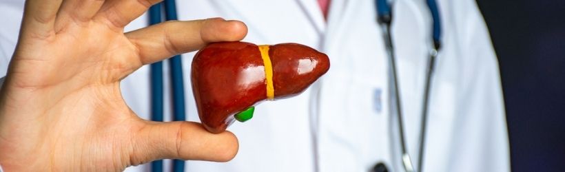 médecin qui tient un foie dans sa main